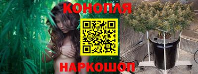 скорость Гатчина