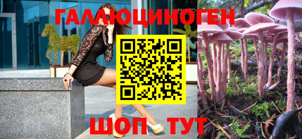 Псилоцибиновые грибы MAGIC MUSHROOMS Можайск